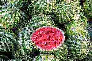 watermelon seeds best varieties