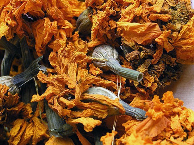 marigolds bilang berdeng pataba na pagtatanim at pangangalaga sa bukas na bukid