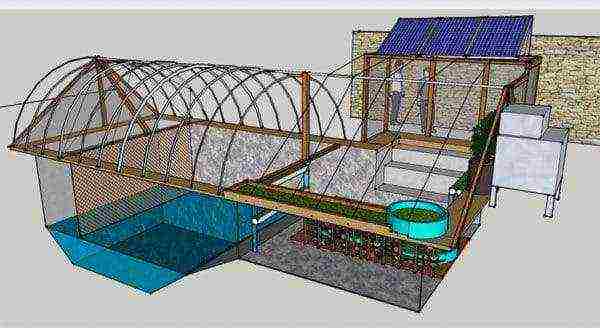 what can be grown in an unheated greenhouse in winter