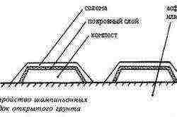 what can be grown in the basement of the garage in autumn and winter