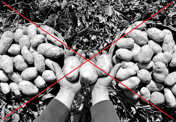 why potatoes were grown in Peter's times