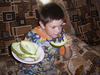 melon planting and care in the open field in the Urals