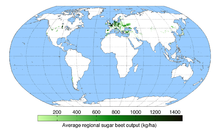 where sugar beets and sugar cane are grown