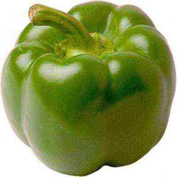 good varieties of bell peppers