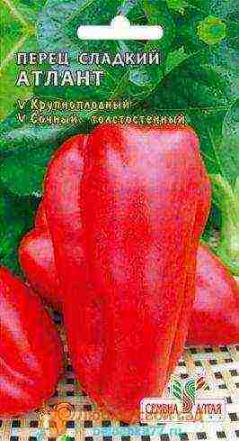 good varieties of bell peppers