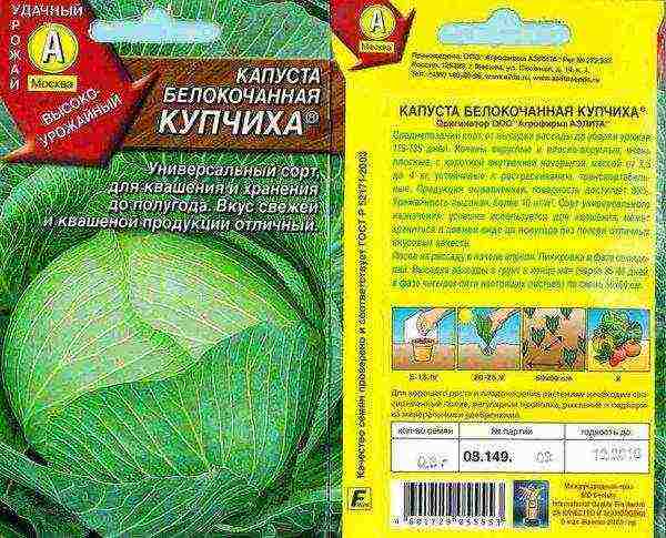 good varieties of late cabbage