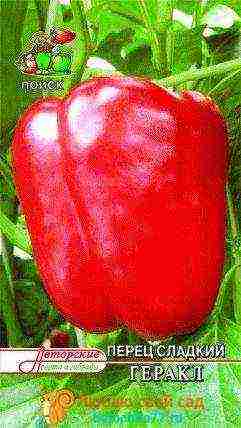 good variety of sweet pepper