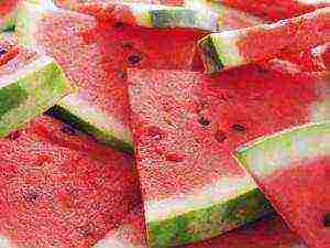 how to prepare watermelon seeds for outdoor planting