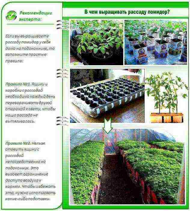 how to grow properly at home