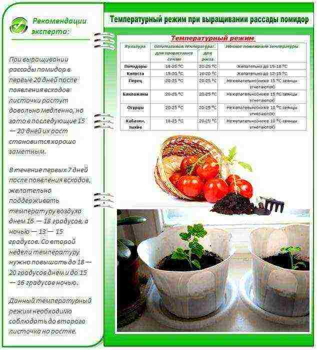 how to grow properly at home