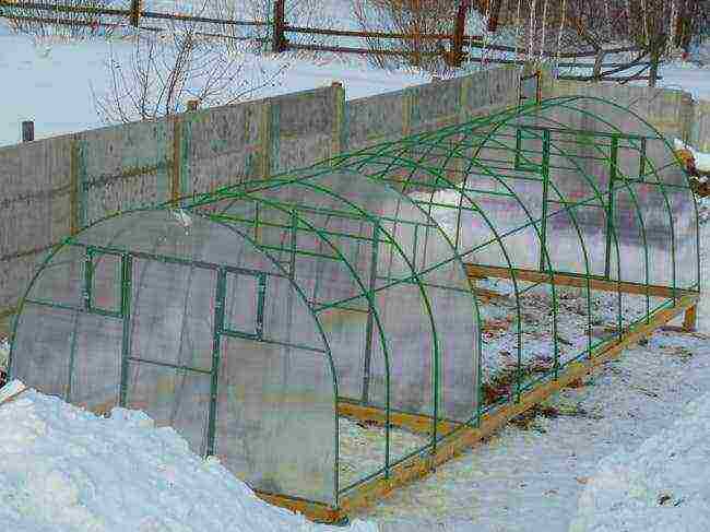 how to properly grow cucumbers and tomatoes in a greenhouse