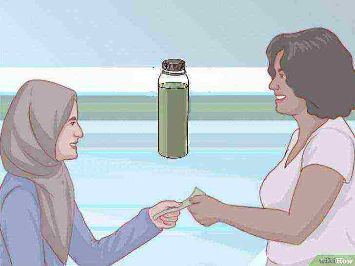 how to grow spirulina at home