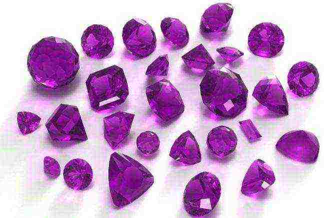 how to grow amethyst at home