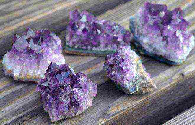 how to grow amethyst at home