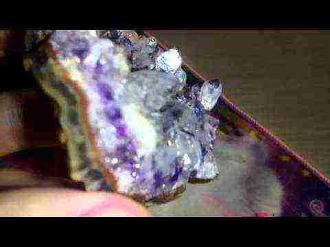 how to grow amethyst at home