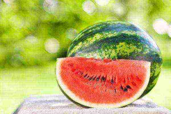 how to grow watermelons outdoors in Ukraine