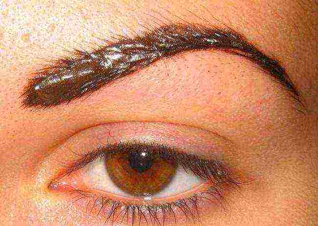 how to grow eyebrows at home