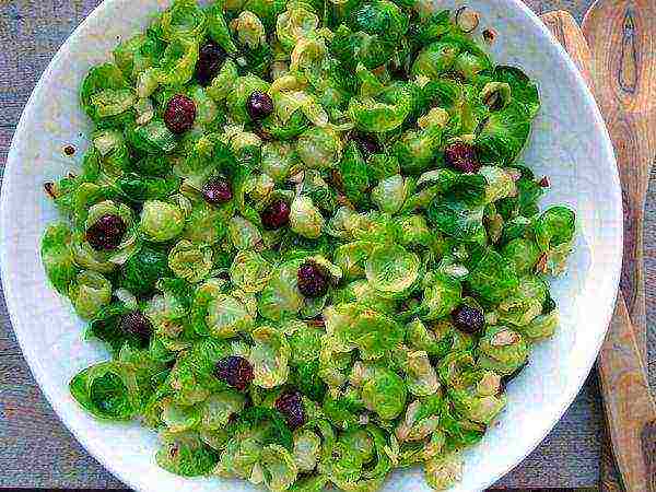 kung paano palaguin ang mga sprout ng Brussels sa labas ng bahay