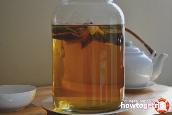 how to grow kombucha at home from scratch