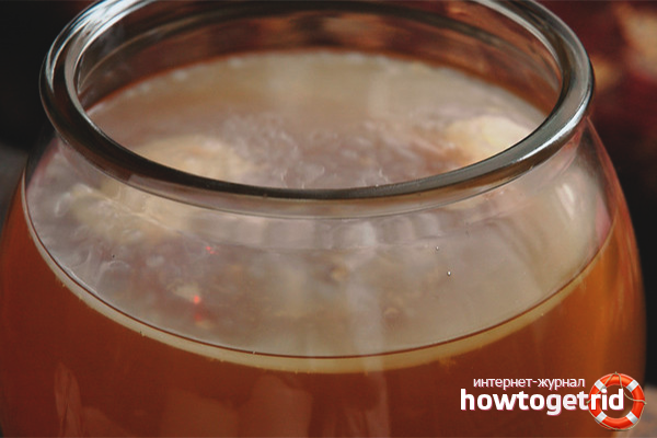 how to grow kombucha at home from scratch