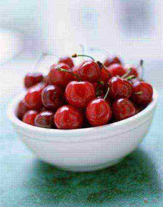 how to grow cherries at home