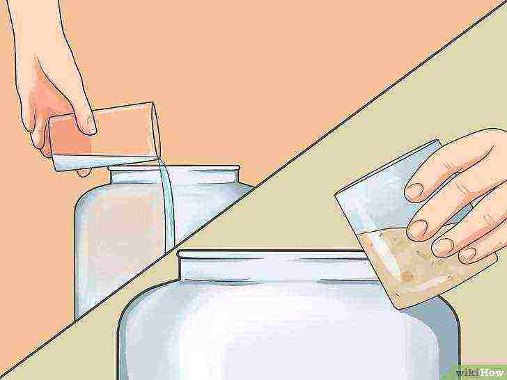 how to grow alcohol yeast at home