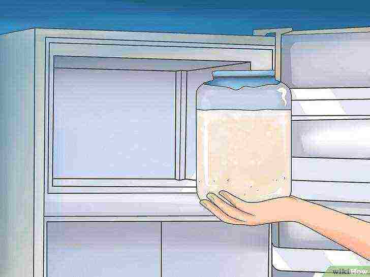 how to grow alcohol yeast at home