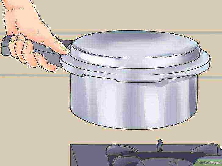 how to grow alcohol yeast at home