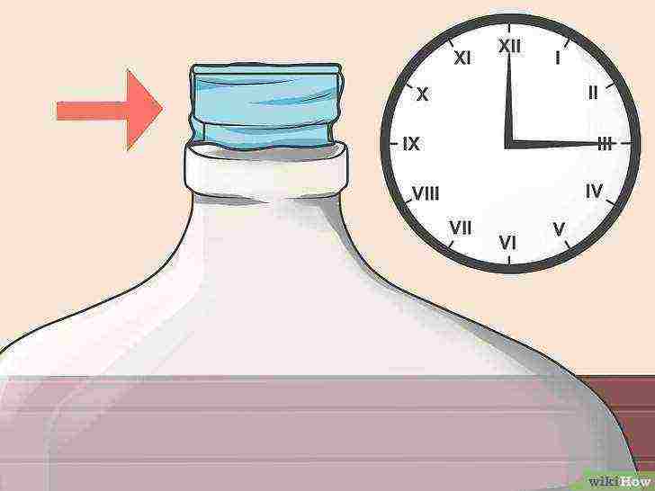 how to grow alcohol yeast at home