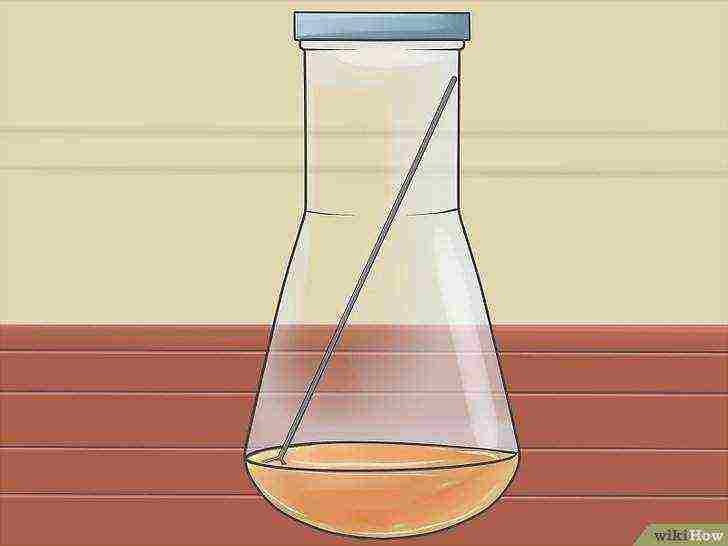 how to grow alcohol yeast at home