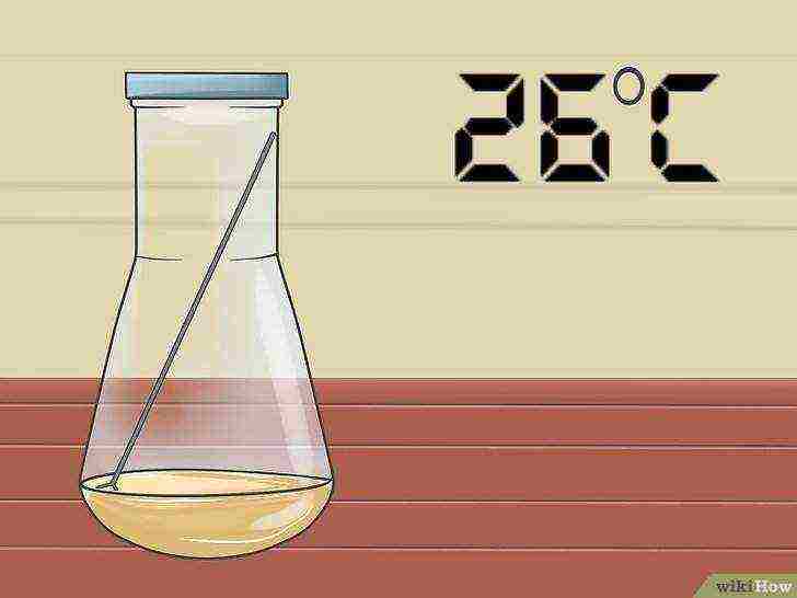 how to grow alcohol yeast at home