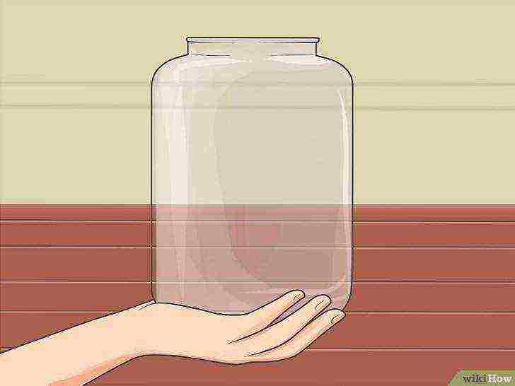 how to grow alcohol yeast at home