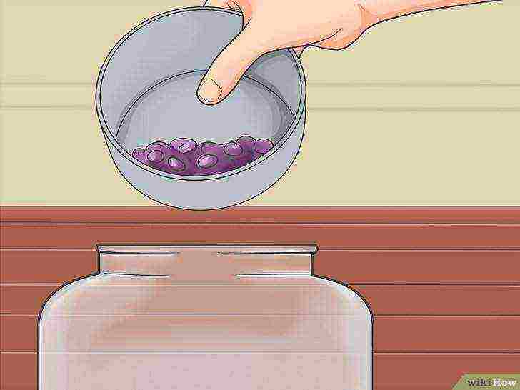 how to grow alcohol yeast at home