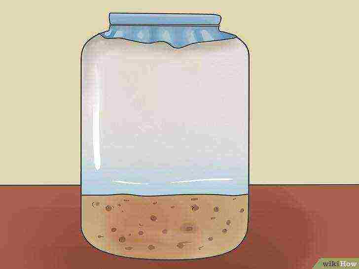 how to grow alcohol yeast at home