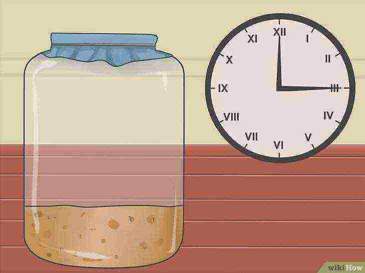 how to grow alcohol yeast at home