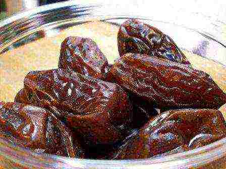 how to grow dates at home