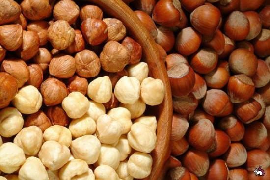 how to grow hazelnuts at home from walnuts