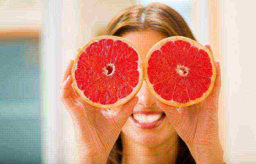 how to grow grapefruit at home