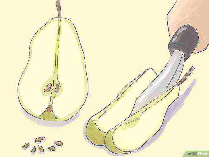 how to grow a pear at home