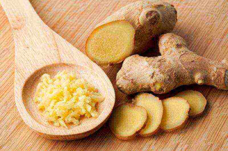 how to grow ginger at home