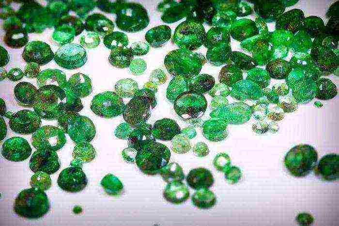 how to grow emeralds at home