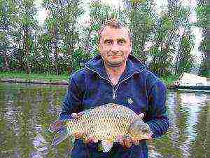 how to grow carp at home