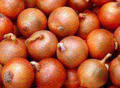 how to grow onions at home from seeds