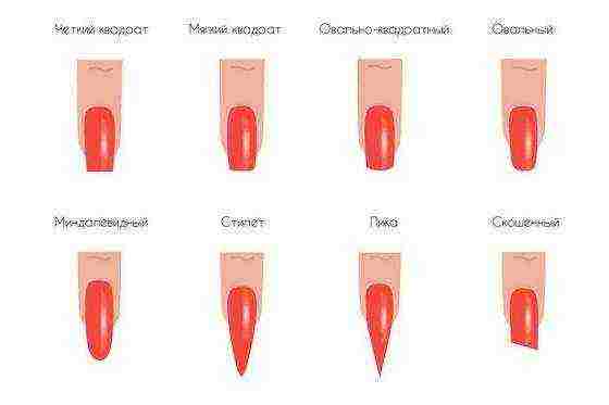 how to grow nails at home