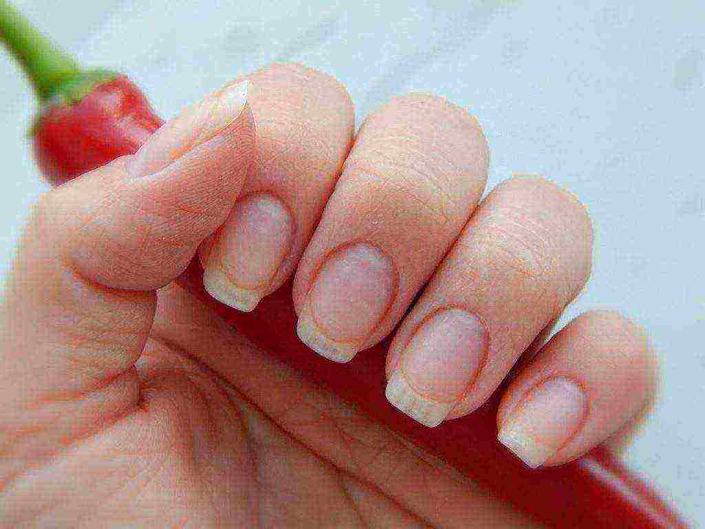 how to grow nails in 2 days at home