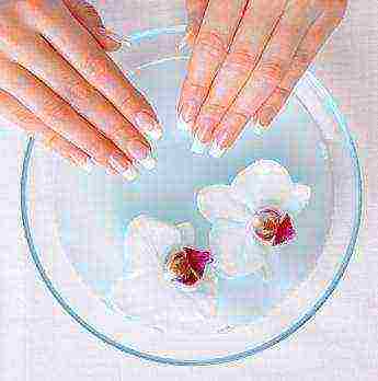 how to grow nails in 2 days at home