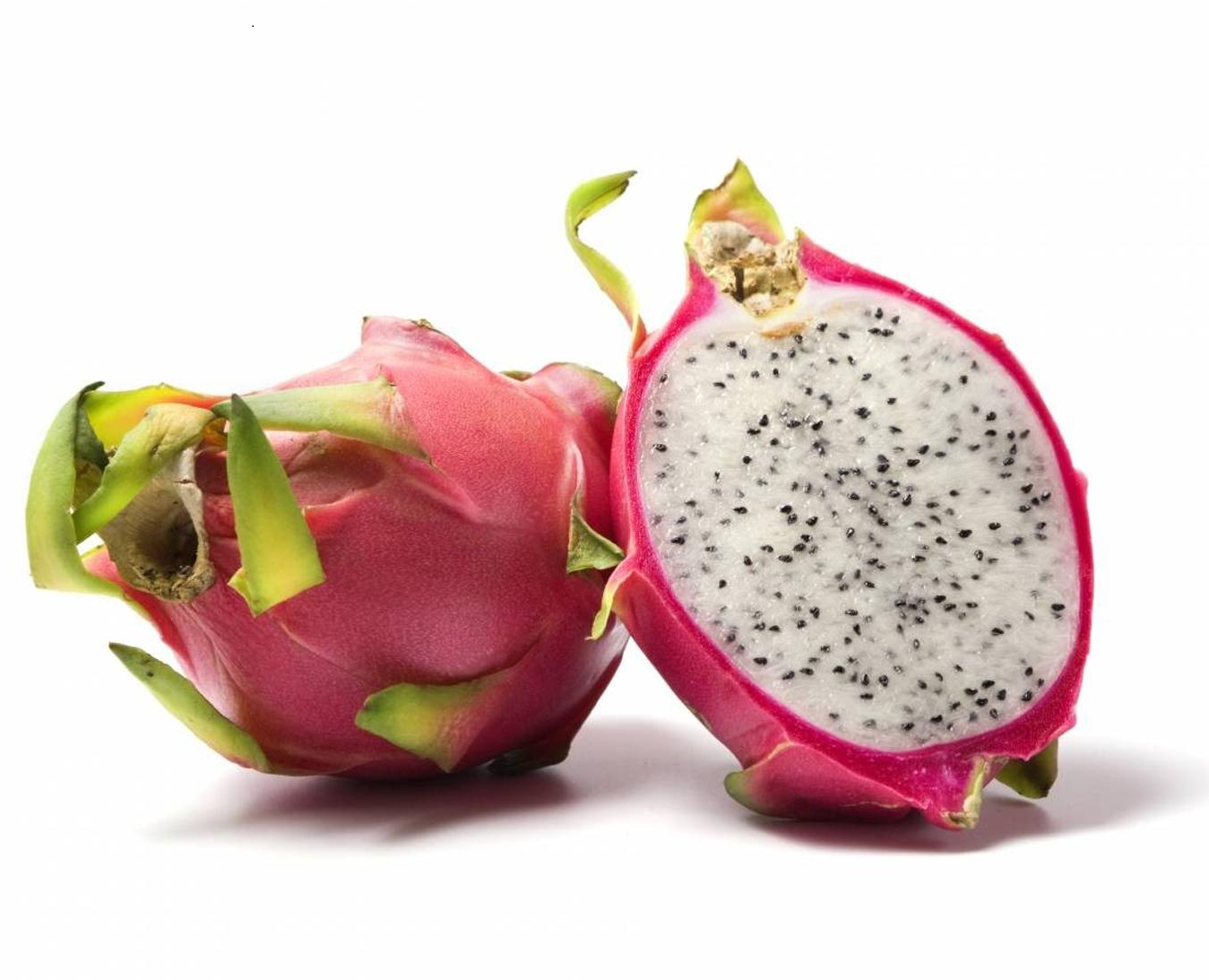 how to grow pitahaya at home