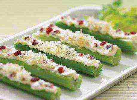 how to grow celery at home