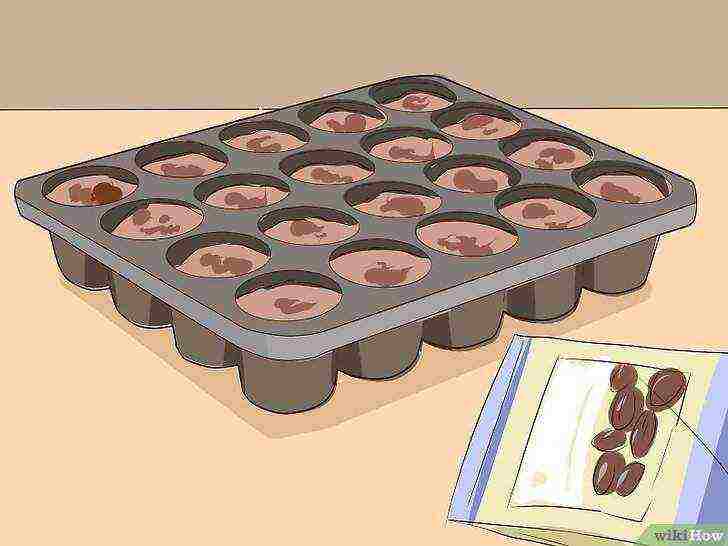 how to grow seeds at home