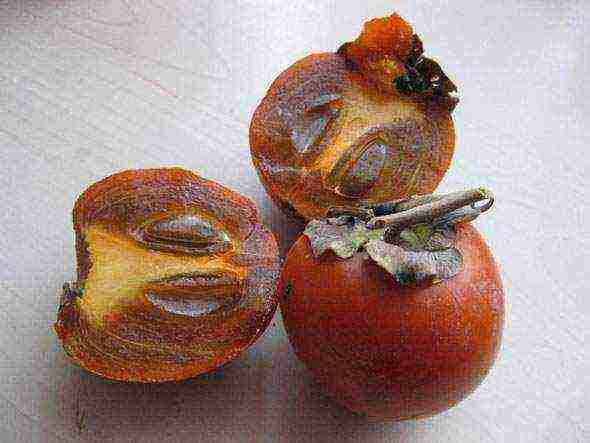 how to grow persimmons at home